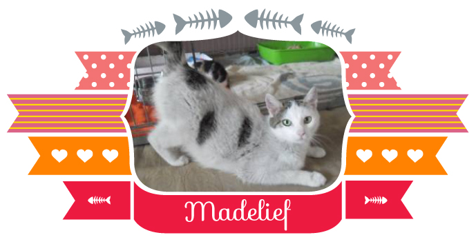 madelief