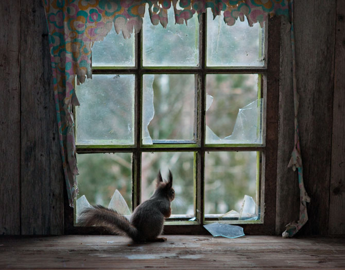 02-squirrel-ramshackle-cottage-670