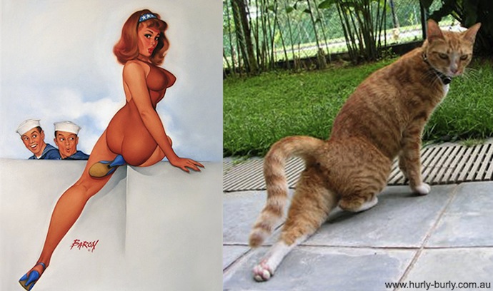 -cats-that-look-like-pin-up-girls-5