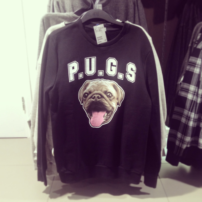 pugs_sweater