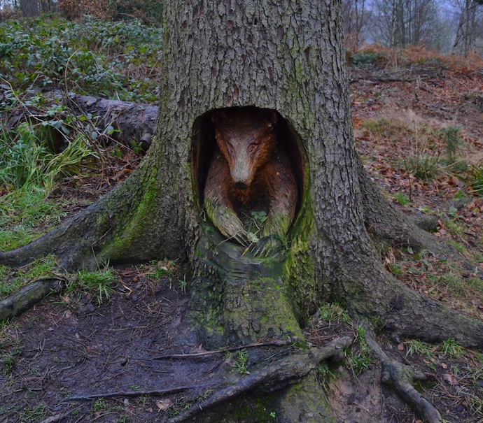 tree-badger