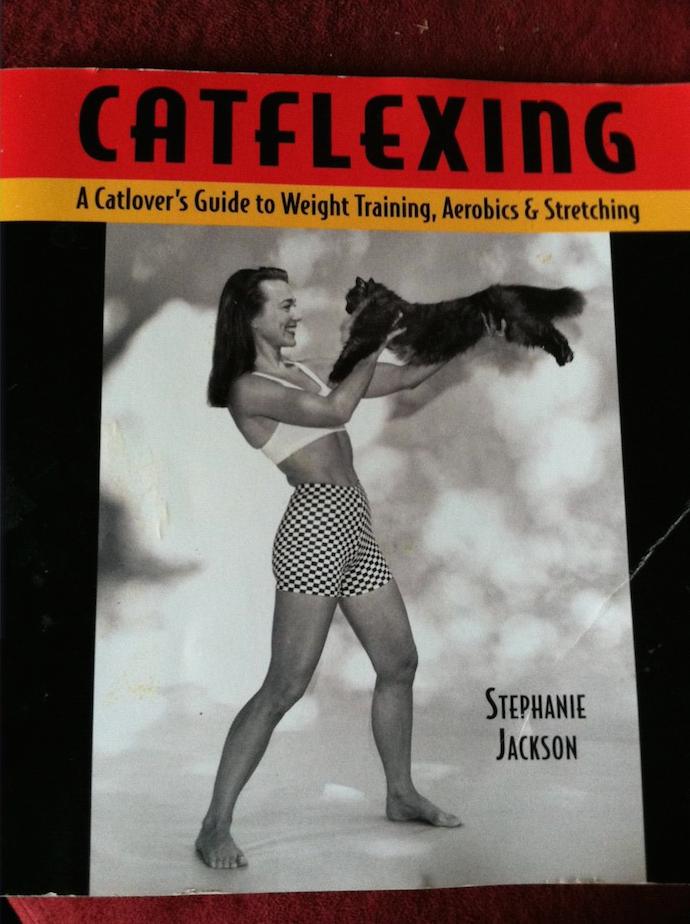 catflexing 1