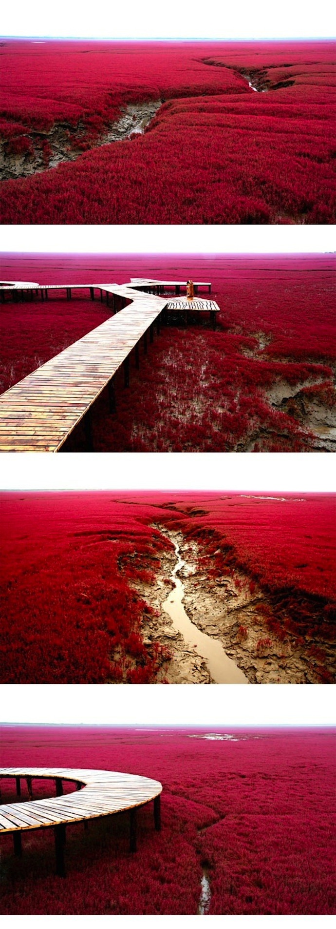 red_beach_china