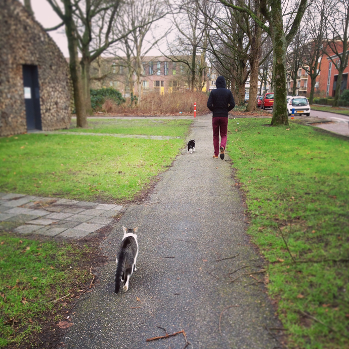 wandelen met katten