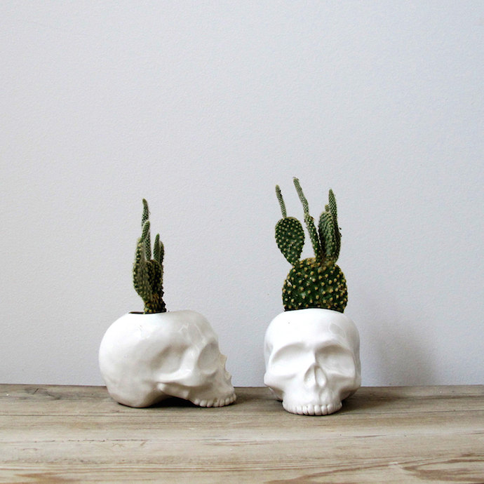 skull planter