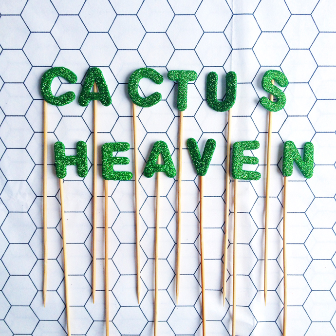 cactus heaven