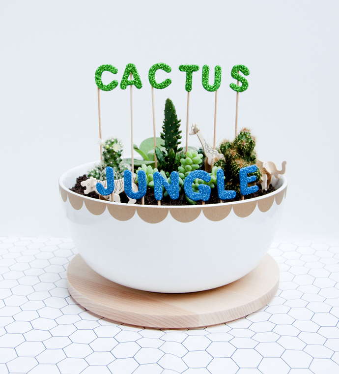 cactus jungle 1